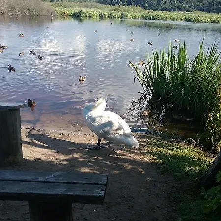 Feniks Lux 2+2 Apartment Kolobrzeg