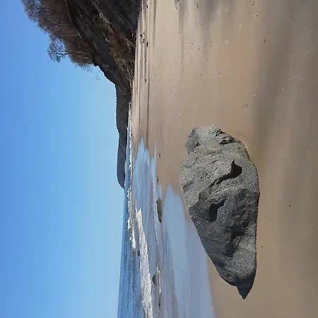 Apartment Feniks Lux 2+2