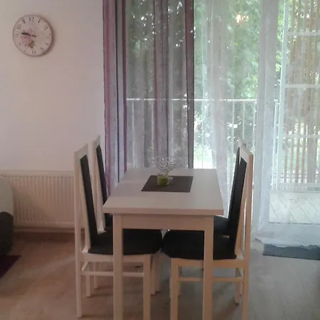 Feniks Lux 2+2 Apartment